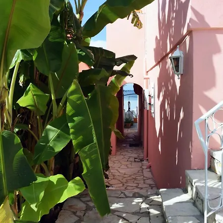 Diana Beachfront Vacation Vakantiehuis *